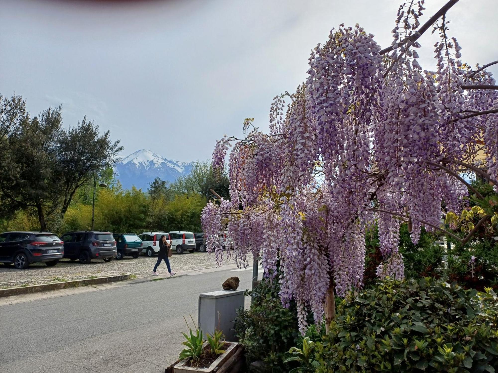 Agriturismo San Giovanni Ad Insulam Isola del Gran Sasso dʼItalia Εξωτερικό φωτογραφία