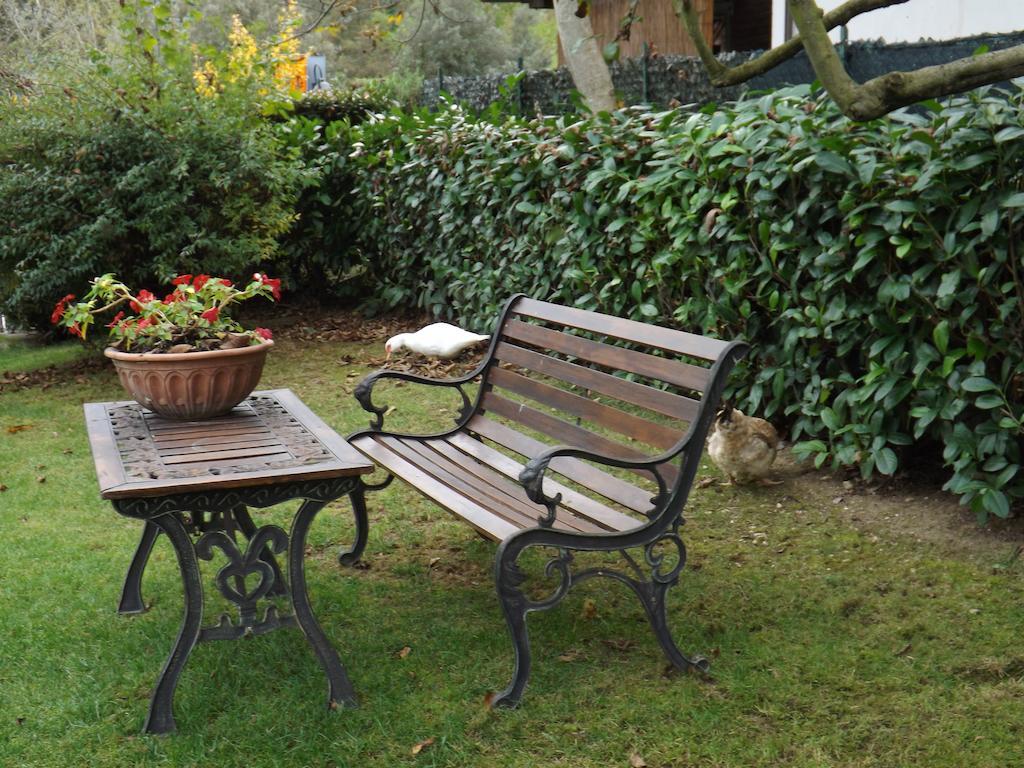 Agriturismo San Giovanni Ad Insulam Isola del Gran Sasso dʼItalia Εξωτερικό φωτογραφία