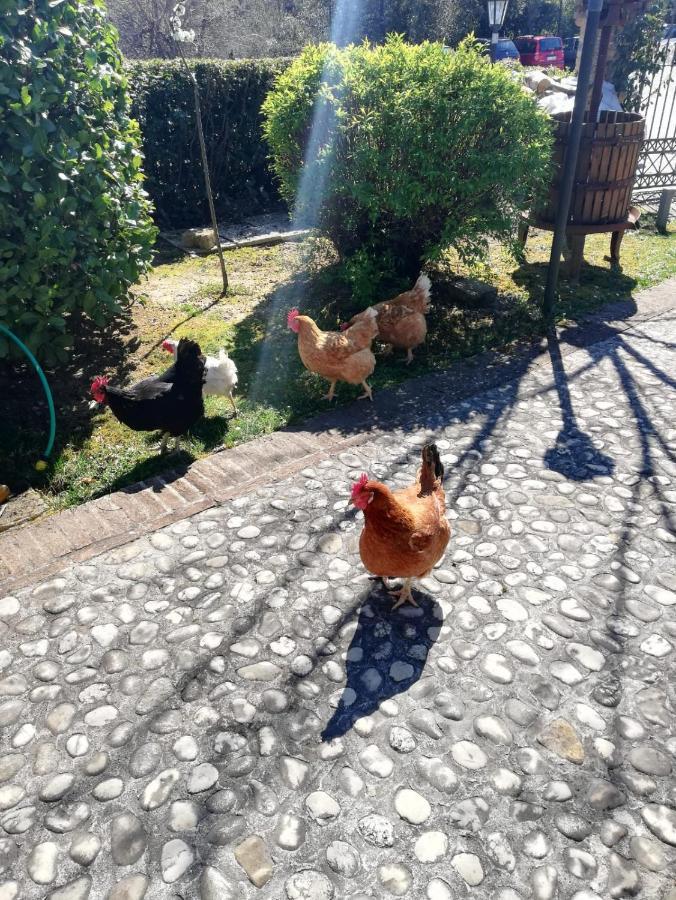 Agriturismo San Giovanni Ad Insulam Isola del Gran Sasso dʼItalia Εξωτερικό φωτογραφία
